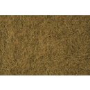 Noch 07101 Wildgras, beige