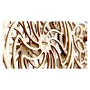 Revell 00613 Tiny Adventures - Kinetic Pic Holzbausatz