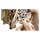 Revell 00616 Tiny Adventures - Magic Clock, Holzbausatz