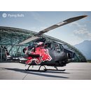 Revell 05640 Geschenkset Bell AH-1F Cobra Flying Bulls...