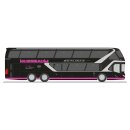 Rietze 69058 Neoplan Skyliner ´11, Nussbaum Reisen...