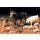 Tamiya 300035128 1:35 Diorama-Set Haustiere (1
