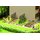 Noch 14604 Laser-Cut minis"Bohnenstangen Massstab: N
