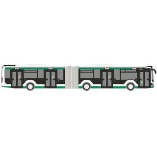 Rietze 75872 MAN Lions City 18, Magdeburger Verkehrsbetriebe Maßstab: 1:87