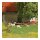 Busch 79860 Aktion-Set: Alpakas mit Jungtier Spur H0