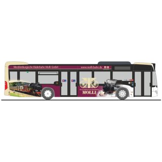 Rietze 69352 Mercedes-Benz Citaro ´12 Mecklenburgische Bäderbahn Molli - collectors Maßstab: 1:87