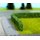 Noch 21524 Mod. Hecke dkl.grün Massstab: H0