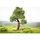 Noch 21768 micro-motion  Baum mit Schaukel  Spur H0