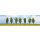 Noch 25098 Spar-Set Pappeln, 7 Stück, ca. 12 cm hoch  Spur H0/TT/N/Z