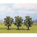 Noch 25511 3 Obstbäume weiß
