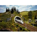 Noch 34840 NBS-Tunnel-Portal,2 gl. Massstab: N