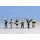 Noch 36070 Servicepersonal Massstab: N