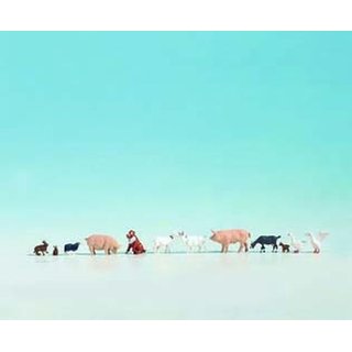 Noch 36711 Tiere auf dem Bauernhof Spur N