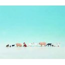 Noch 36711 Tiere auf dem Bauernhof Spur N
