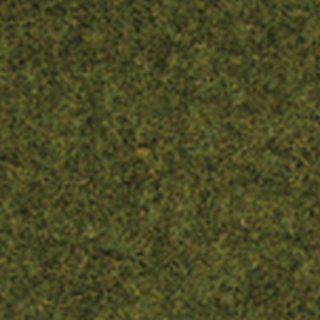 Noch 50220 Gras Wiese 2,5 mm, 100 g
