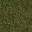 Noch 50220 Gras Wiese 2,5 mm, 100 g