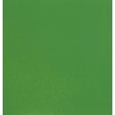 Noch 61194 Acrylfarbe hellgrün