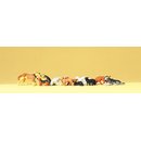 PREISER 14165 Hunde und Katzen Massstab: H0