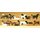 PREISER 14407 Pferde. 26 Stueück Massstab: H0