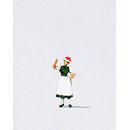 PREISER 29021 Frau in Gutachtaler Tracht Massstab: H0
