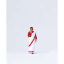 PREISER 29050 Inderin Massstab: H0