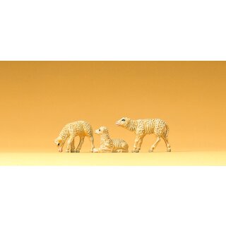 PREISER 47061 3 Laemmer Massstab: 1:25