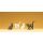 PREISER 47063 4 Katzen Massstab: 1:25
