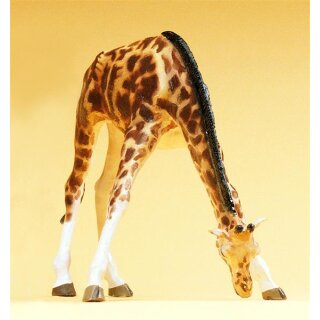 PREISER 47502 Giraffe fressend Massstab: 1:25