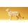 PREISER 47506 Loewin stehend Massstab: 1:25