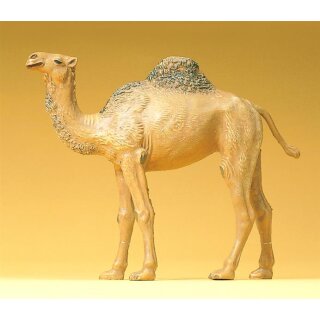 PREISER 47531 Dromedar Massstab: 1:25