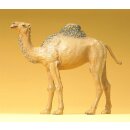 PREISER 47531 Dromedar Massstab: 1:25