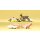 PREISER 72414 Kleintierset Massstab: 1:72