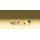 PREISER 79025 Familie Krause verreist Massstab: N