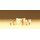 PREISER 79050 Waescherinnen Massstab: N
