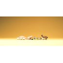 PREISER 79093 Kleintierset Massstab: N