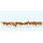 PREISER 79155 Kuehe Massstab: N