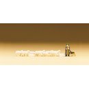 PREISER 79160 Schaeferei Massstab: N