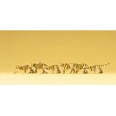 PREISER 79714 Tiger Massstab: N