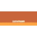 PREISER 89400 Zivile Piloten, Stewardessen, Massstab: 1:400