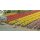 Busch 1206 120 Tulpen H0 Spur