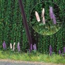 *Busch 1217 Wild-Lupinen H0 Spur