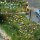*Busch 1229 Sommerblumen H0 Spur
