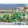 *Busch 1262 Kornblumen H0 Spur