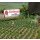 Busch 1265 Erdbeeren H0 Spur