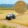 Busch 1310 Bodendecker: Kornfeld  Spur H0 / TT / N
