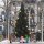 *Busch 5413 Bel.Weihnachtsbaum ohne Schnee H0 Spur