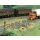 *Busch 5959 Baustellen  Warnbaken TT Spur