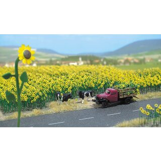 Busch 6003 Sonnenblumenfeld H0 Spur
