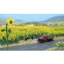 Busch 6003 Sonnenblumenfeld H0 Spur