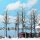 Busch 6158 4 winterl.Platanen H0 Spur